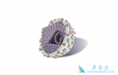 �����������صĸ������Ʊ��ο���������