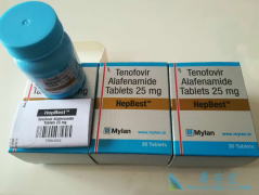 Τ����(TAF)���Ƶ�ʱ���в���������˵����ҩ����