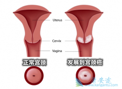 �����շ���������ԭ��ͨ������Щ��