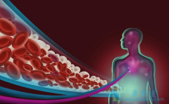 �����ܰ�ϸ����Ѫ�����Ʋ����������Щ����֢��