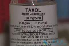 ʲô����ɼ��(Paclitaxel)����ɼ�������������ٰ�������