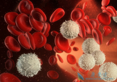 ������ƶѪ�ǰ�Ѫ��������֢״��