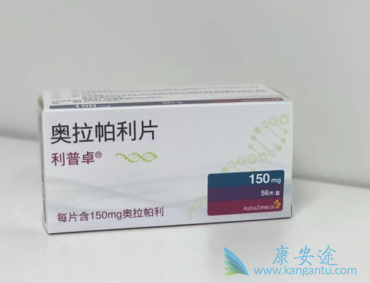 PARP抑制剂 PARP抑制剂