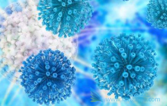 �Ҹ����԰�����Ŀ����������Щ���ֱ���ʲô�ã�