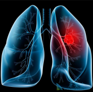 �ΰ��ٰ��������ƺ��ܽ��зβ��г�������