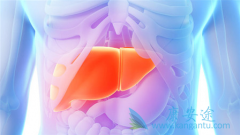 �Ҹα��濹��������ʲô��˼?�Ҹα��濹�����Ի���Ҫ��������