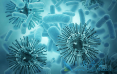 ���β�������������������������ڶ�ã�