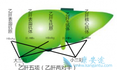 �Ҹ�������ձ��еļ��ָ������Щ����ָͬ�꺬���кβ�ͬ��