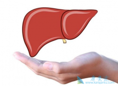 �Ҹα��濹��������ʲô��˼�������Ҹα��濹�����Ե�ԭ����ʲô��