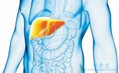 �Ҹ����԰�/�Ҹ��������е�ÿһ��ֱ����ʲô���壿