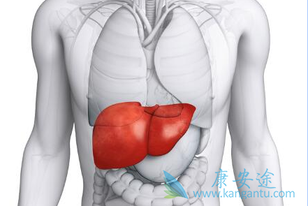 乙肝两对半对照表 乙肝两对半对照表