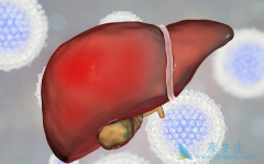 ���Ʊ��ε�ҩ��Ϊʲô����ͬ��ҩ�ͱ���ҩ��һ��ʹ�ã�