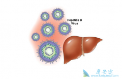 ���β����������θ�Ӳ����������������