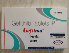 ������������(Gefitinib)���ƶԿ���������������ת�Ƶ���Ч��Σ�