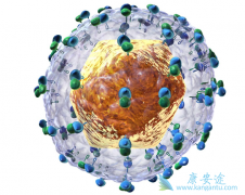 ѪҺ͸����ɱ��δ�Ⱦ��ԭ����ʲô���ж����