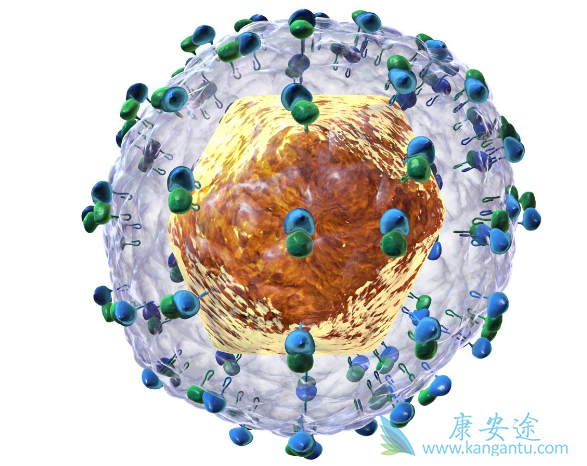 丙肝传染 丙肝传染