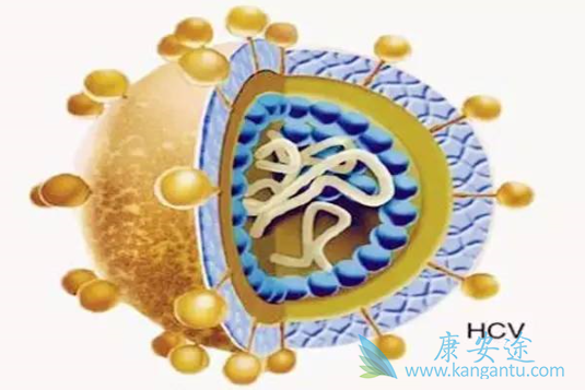 丙肝能治好吗 丙肝能治好吗