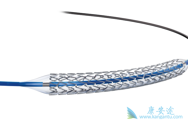 可降解心脏支架 可降解心脏支架