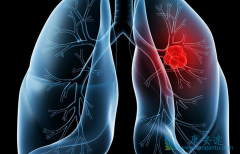 ��ˮ�������Ϊ���ڷΰ��ٰ����߰��������ṩ֤��