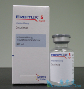 ��-EGFR���������������ڽ�ֱ�������еı�����ô����