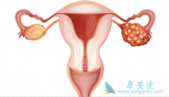 ������������в������Ʋ���ҩ�ѳ�����Ч�϶�