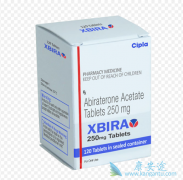 ��������(Abiraterone)���ָ����õķ������Ƕ��٣�
