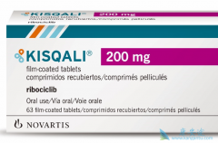 ������(Ribociclib)�Ӽ������ƿ�ʹ���ߵ���������