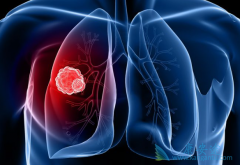 ��������԰��и�Ѫѹ�ķ��۰�������Ч����