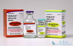 ���߼������Ƽ�CTLA-4�������Ƹΰ�������