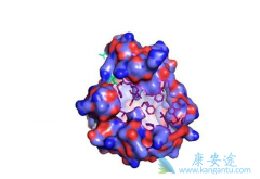 ��Ⱦ��û�б�������ı��β�����ô�죿