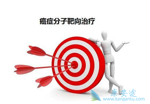 靶向治疗 靶向治疗