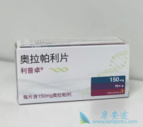 PARP���Ƽ�������������������ɼ���������ٰ�������