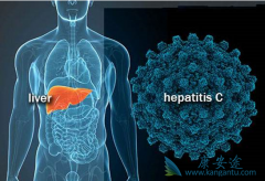 ������ʲô�����ε�������״��Σ�