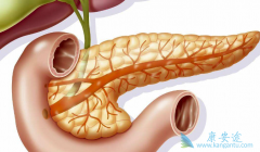 �������������ٰ���������ʲô���ã�