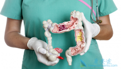 ��������Ϊ���ڽ�ֱ����������������