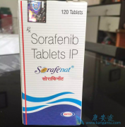 ��������/�༪����TACE���Ͽ�Ϊ���ڸ����Ըΰ����ߴ������õ�Ԥ��