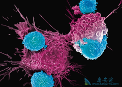 ��Щ�취�����cart�Ļ����ʺͿɳ����ԣ�