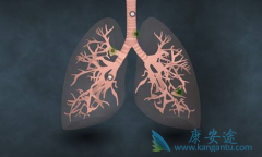 �ΰ����ڳԲ�������/���������ܻ��ã�