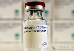 HER2�������ٰ�����ʹ�������鵥�����Ƶĸ���������Щ��