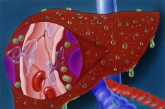 ����ж��Ҹ���ҩʲôʱ�����ͣҩ��