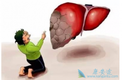 ���Ҹ����ƹ�������Ҫ�������లȫ����