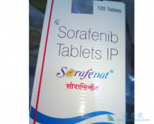 ��������/������������TACE���ƾ��������ĵ���ЧӦ