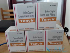 ��ŵ��Τ(TDF)�鵼������ʧ�Ļ�����ʲô��