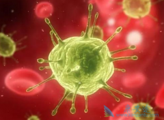 ���̲���Ƥ��������������ǿ�����������Ƥ���ı�