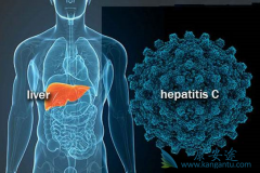 ���͸��������ü������Ƿ���гɱ�Ч����