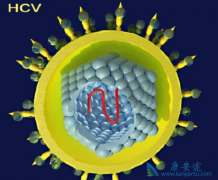 ���ο������ƺ��𣿱��������Ĺؼ���ʲô��