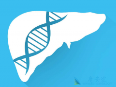 ���εĴ���;�����Ҹ���ͬ��������ʲô��ͬ��