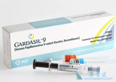 HPV�������ļ��֣�HPV�������Ԥ��HPV��