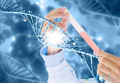 ����ҽ�������ʺϻ�ø��������ƵĻ���