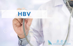 ͸ײ(HBV)ȾӸΰļ